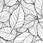 6d69a492c1a1f5021bd09e814cae9019