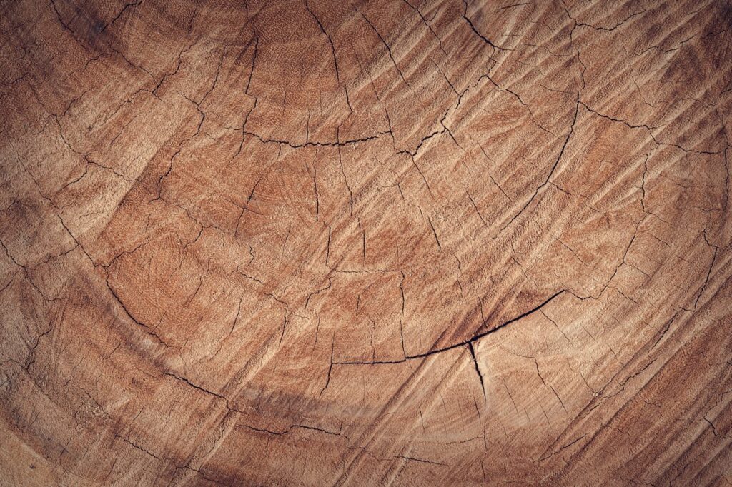 pexels photo 172288.jpeg