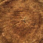 pexels photo 355802.jpeg